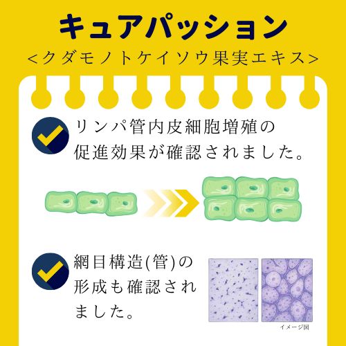 キュアパッション